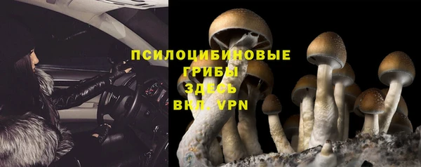 метадон Армянск